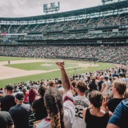 Large crowd cheering at a baseball game.