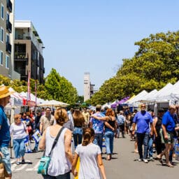 Large crowd of people browsing art and other wares at a street art fair on a beautiful summer day.